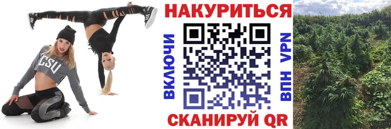 Каннабис планчик Кремёнки